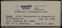 Image Associated With the Occurence